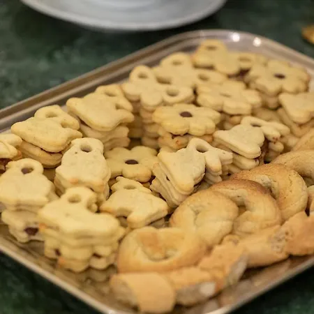 Rojan מלון